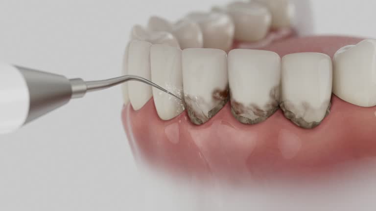 Reliable Dental contractor in Talladega, AL by Dentist Open Now